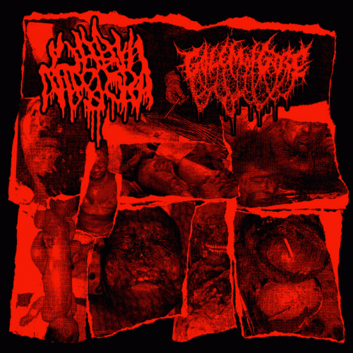 Labia Majora : Golem of Gore - Labia Majora